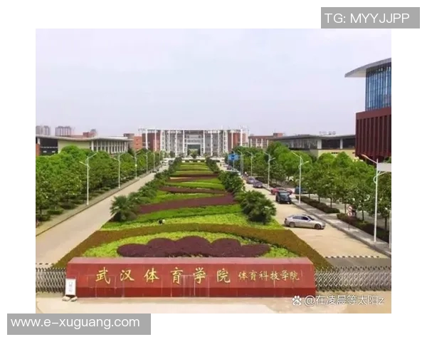 武汉体育大学篮球明星的成长之路与未来发展展望