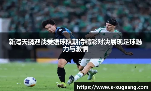 新泻天鹅迎战爱媛球队期待精彩对决展现足球魅力与激情