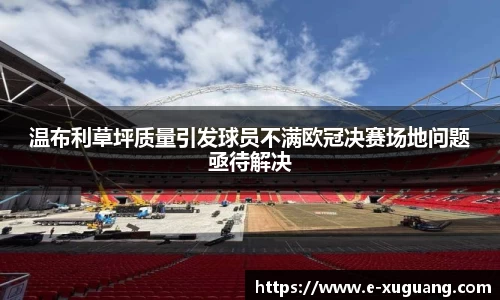 温布利草坪质量引发球员不满欧冠决赛场地问题亟待解决